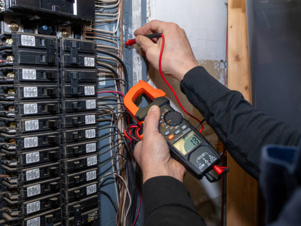 Best Electrical Repair Services  in Algonac, MI