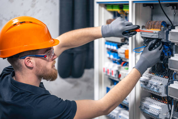 Best Residential Electrician Services  in Algonac, MI